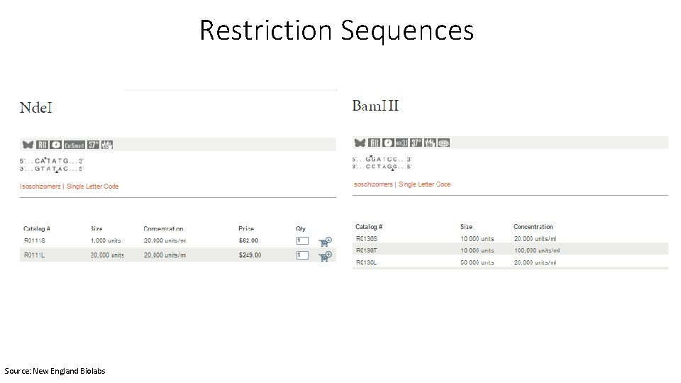 Restriction Sequences Source: New England Biolabs 