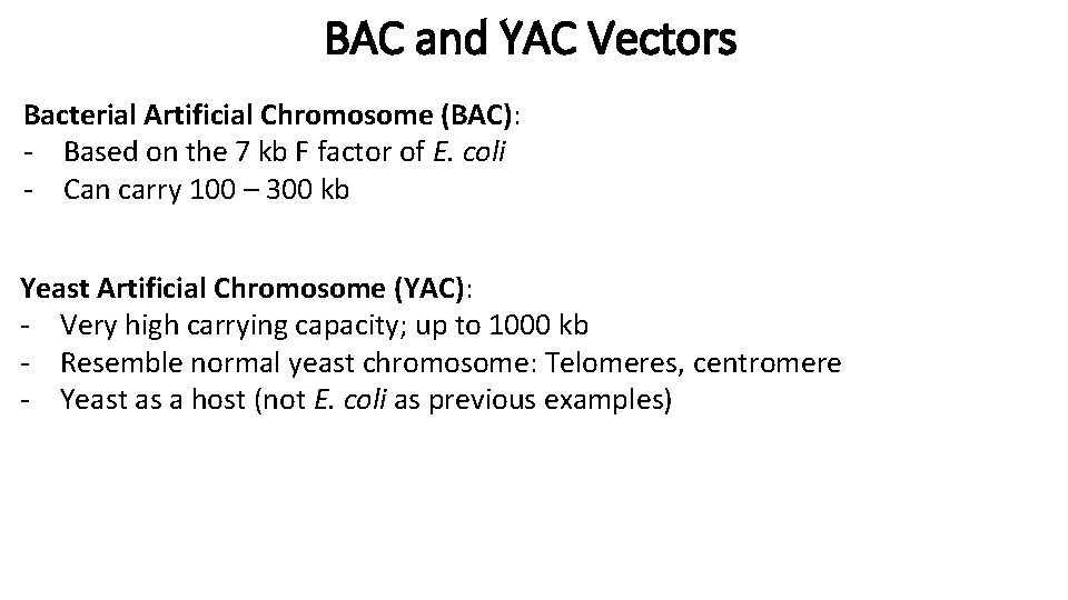 BAC and YAC Vectors Bacterial Artificial Chromosome (BAC): - Based on the 7 kb