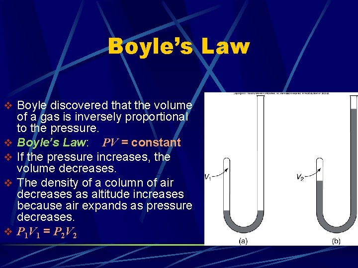 Boyle’s Law v Boyle discovered that the volume v v of a gas is