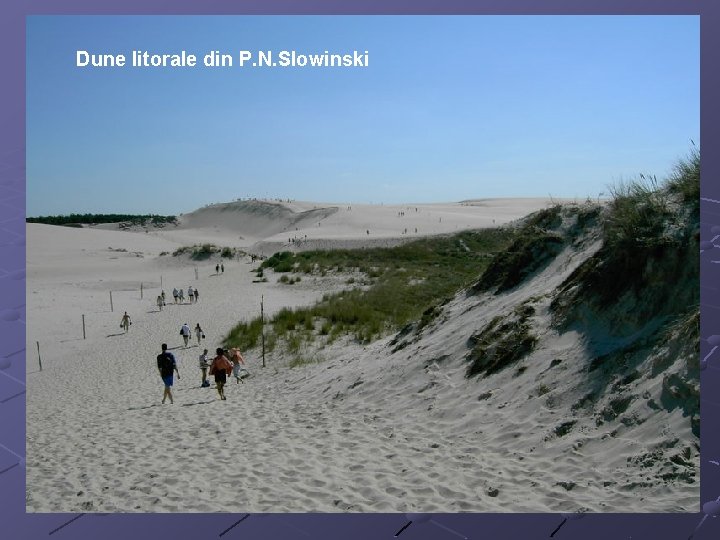 Dune litorale din P. N. Slowinski 