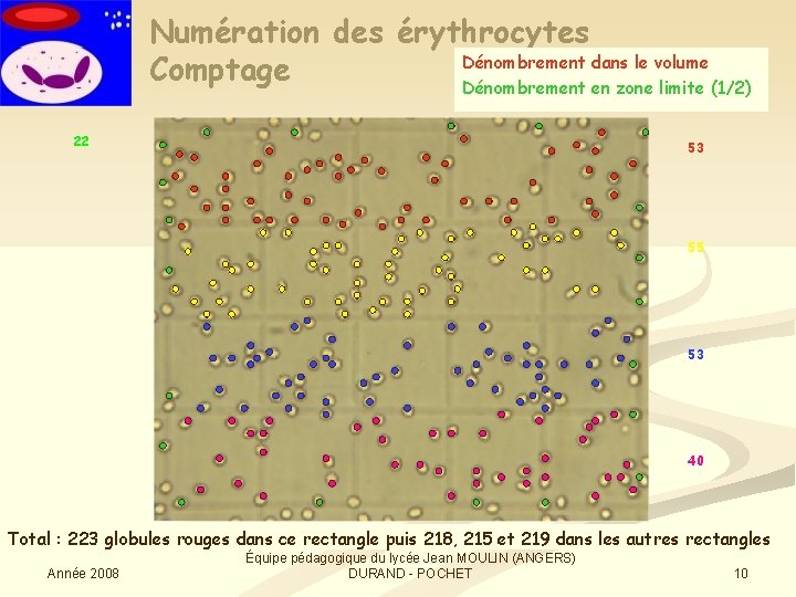 Numération des érythrocytes Dénombrement dans le volume Comptage Dénombrement en zone limite (1/2) 22
