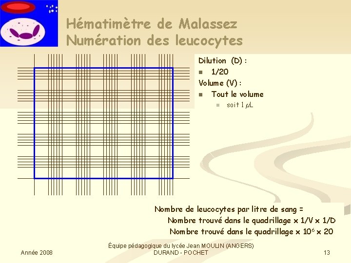 Hématimètre de Malassez Numération des leucocytes Dilution (D) : n 1/20 Volume (V) :