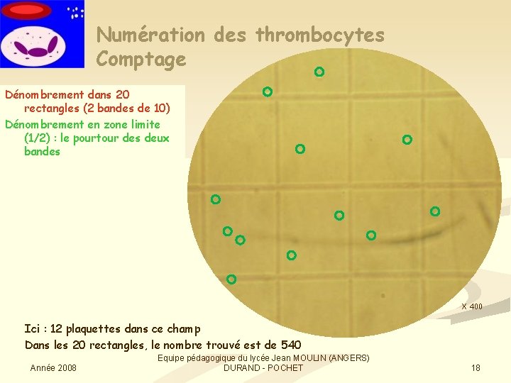 Numération des thrombocytes Comptage Dénombrement dans 20 rectangles (2 bandes de 10) Dénombrement en