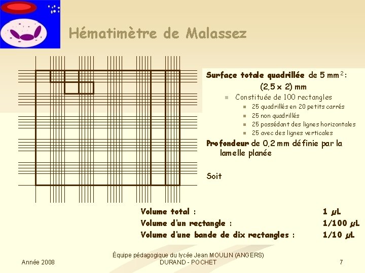 Hématimètre de Malassez Surface totale quadrillée de 5 mm 2 : (2, 5 x