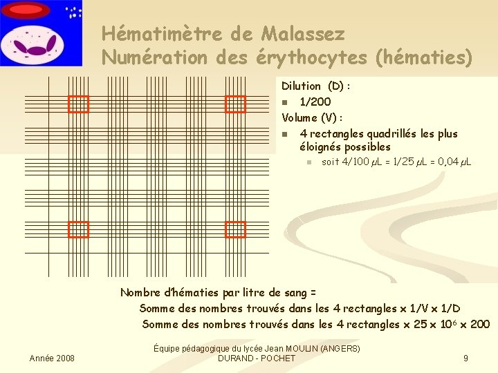 Hématimètre de Malassez Numération des érythocytes (hématies) Dilution (D) : n 1/200 Volume (V)