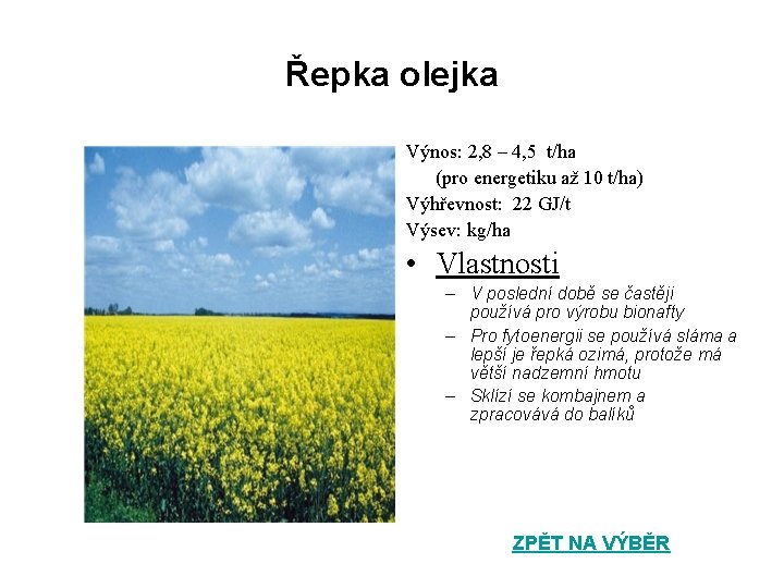 Řepka olejka Výnos: 2, 8 – 4, 5 t/ha (pro energetiku až 10 t/ha)