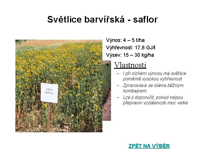 Světlice barvířská - saflor Výnos: 4 – 5 t/ha Výhřevnost: 17, 8 GJ/t Výsev: