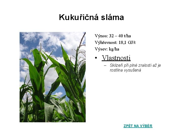 Kukuřičná sláma Výnos: 32 – 40 t/ha Výhřevnost: 18, 1 GJ/t Výsev: kg/ha •