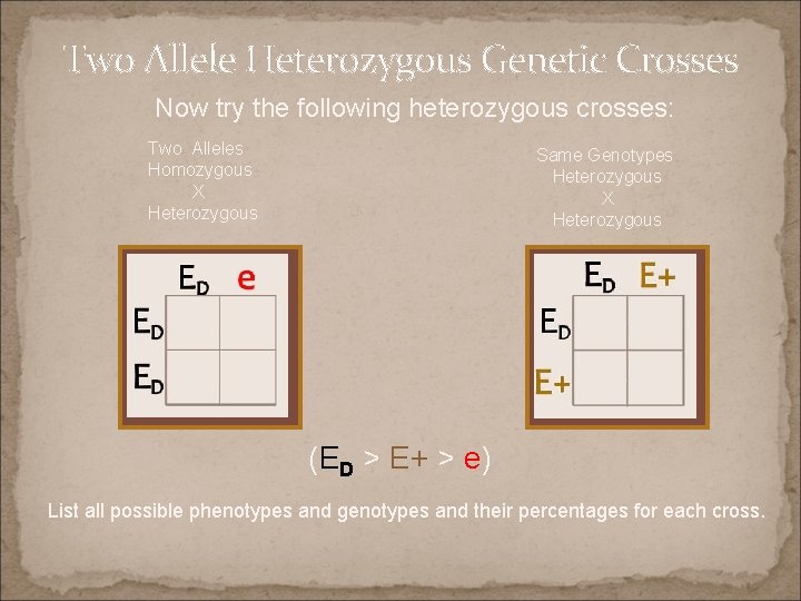 Two Allele Heterozygous Genetic Crosses Now try the following heterozygous crosses: Two Alleles Homozygous