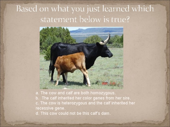 Based on what you just learned which statement below is true? a. The cow