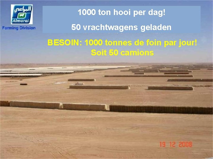 1000 ton hooi per dag! 50 vrachtwagens geladen BESOIN: 1000 tonnes de foin par