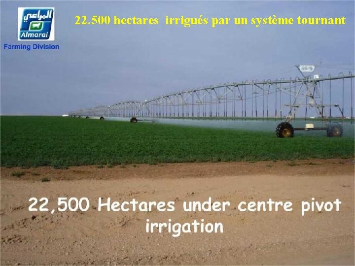 22. 500 hectares irrigués par un système tournant 