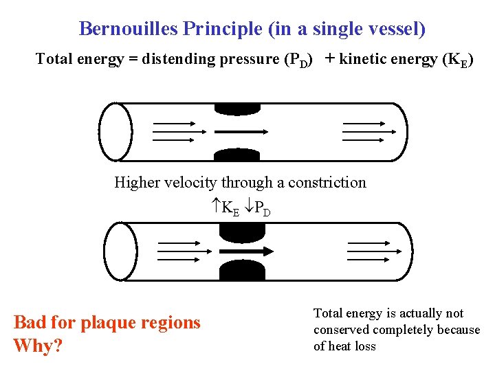 Bernouilles Principle (in a single vessel) Total energy = distending pressure (PD) + kinetic