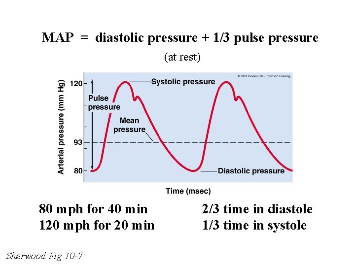 MAP = diastolic pressure + 1/3 pulse pressure (at rest) 80 mph for 40