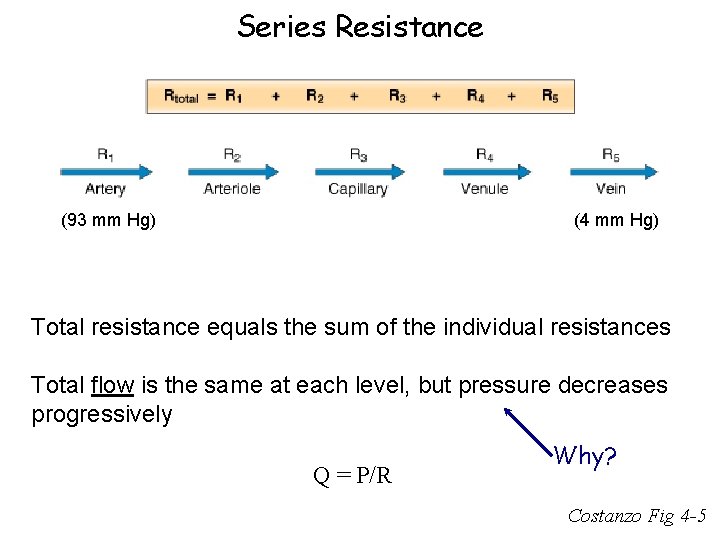 Series Resistance (93 mm Hg) (4 mm Hg) Total resistance equals the sum of