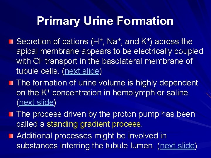 Primary Urine Formation Secretion of cations (H+, Na+, and K+) across the apical membrane