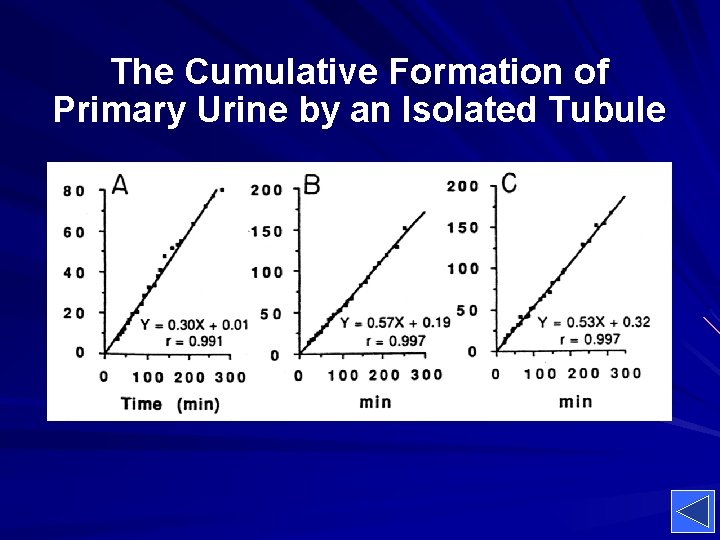 The Cumulative Formation of Primary Urine by an Isolated Tubule 