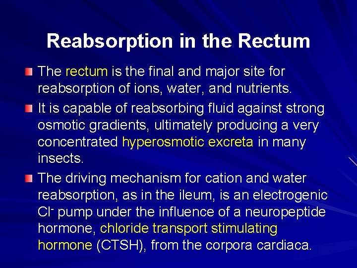 Reabsorption in the Rectum The rectum is the final and major site for reabsorption