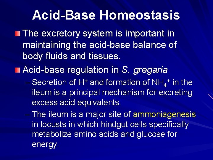 Acid-Base Homeostasis The excretory system is important in maintaining the acid-base balance of body