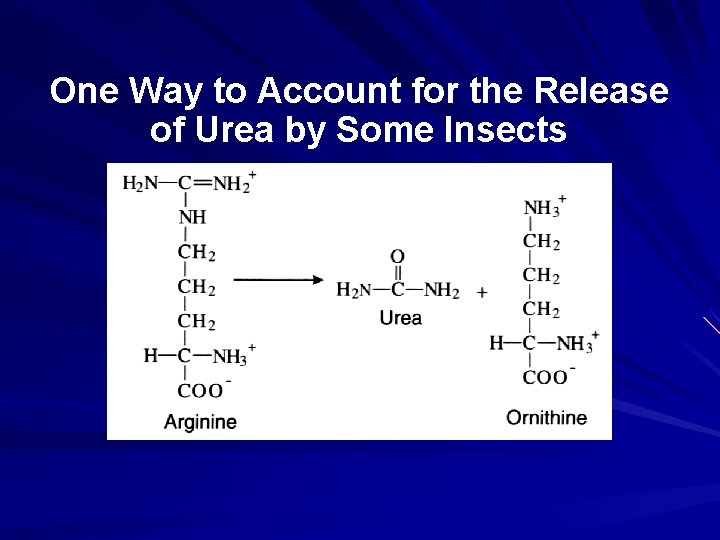 One Way to Account for the Release of Urea by Some Insects 