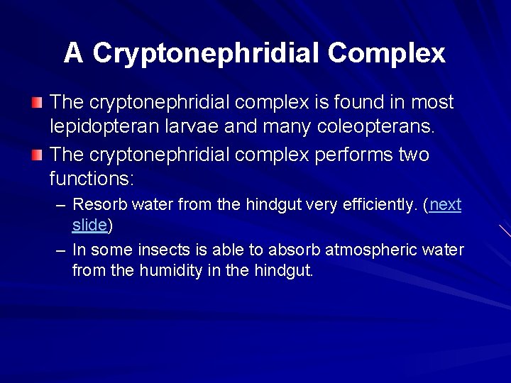 A Cryptonephridial Complex The cryptonephridial complex is found in most lepidopteran larvae and many