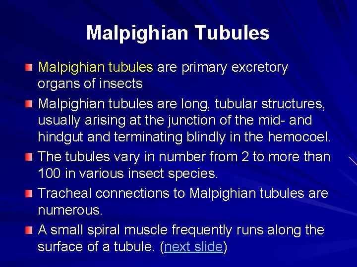 Malpighian Tubules Malpighian tubules are primary excretory organs of insects Malpighian tubules are long,