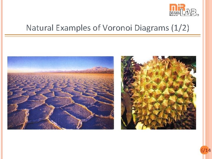 Natural Examples of Voronoi Diagrams (1/2) 6/14 