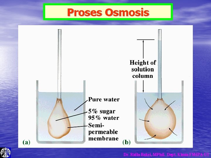 Proses Osmosis Dr. Ridla Bakri, MPhil. Dept. Kimia FMIPA-UI Proses Osmosis Dr. Ridla Bakri, MPhil. Dept. Kimia FMIPA-UI