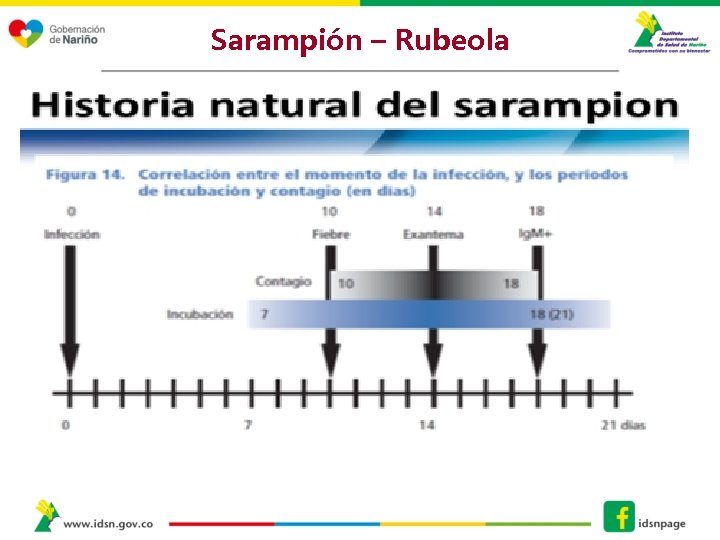 Sarampión – Rubeola 