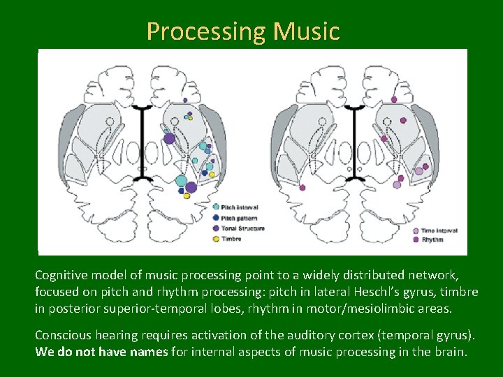 Processing Music Cognitive model of music processing point to a widely distributed network, focused