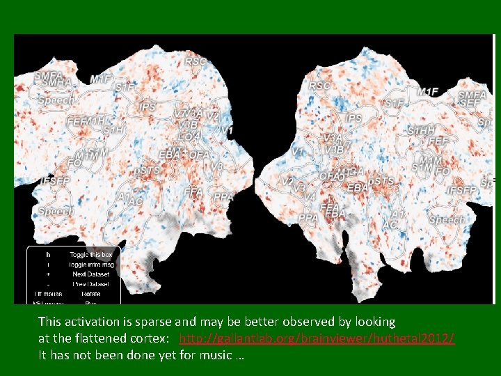 This activation is sparse and may be better observed by looking at the flattened