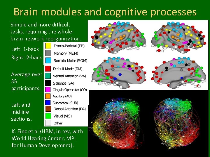 Brain modules and cognitive processes Simple and more difficult tasks, requiring the wholebrain network