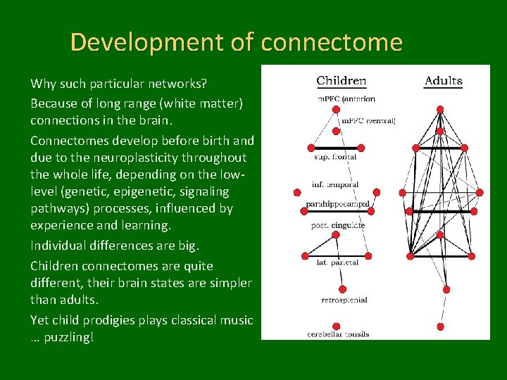 Development of connectome Why such particular networks? Because of long range (white matter) connections