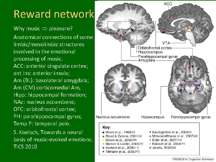 Reward network Why music pleasure? Anatomical connections of some limbic/mesolimbic structures involved in the