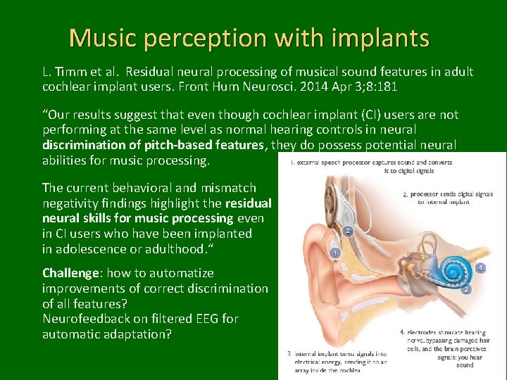 Music perception with implants L. Timm et al. Residual neural processing of musical sound