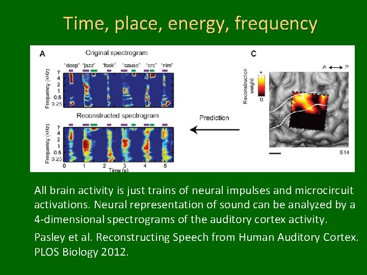 Time, place, energy, frequency All brain activity is just trains of neural impulses and