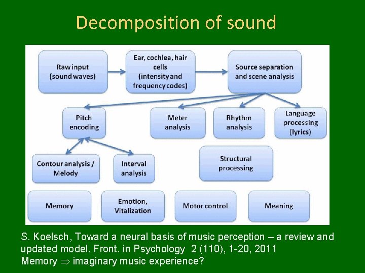 Decomposition of sound S. Koelsch, Toward a neural basis of music perception – a