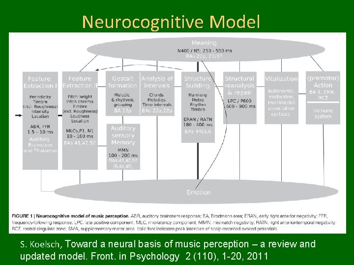 Neurocognitive Model S. Koelsch, Toward a neural basis of music perception – a review