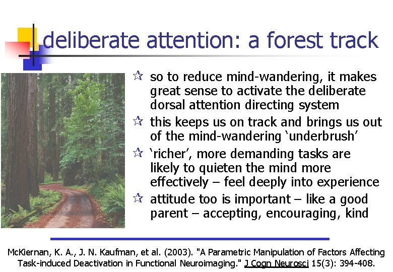 deliberate attention: a forest track ¶ so to reduce mind-wandering, it makes great sense