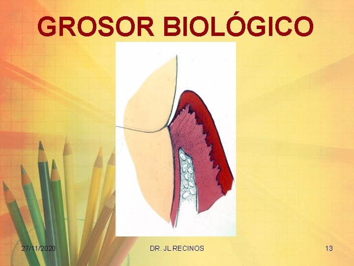 GROSOR BIOLÓGICO 27/11/2020 DR. JL RECINOS 13 