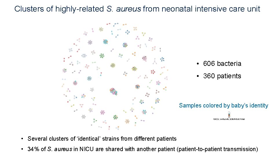 Clusters of highly-related S. aureus from neonatal intensive care unit • 606 bacteria •