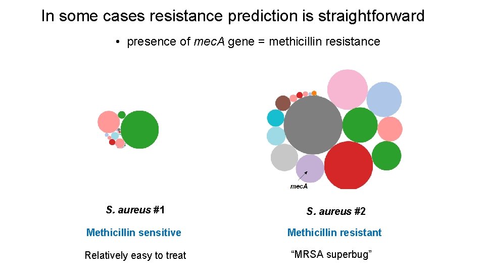 In some cases resistance prediction is straightforward • presence of mec. A gene =
