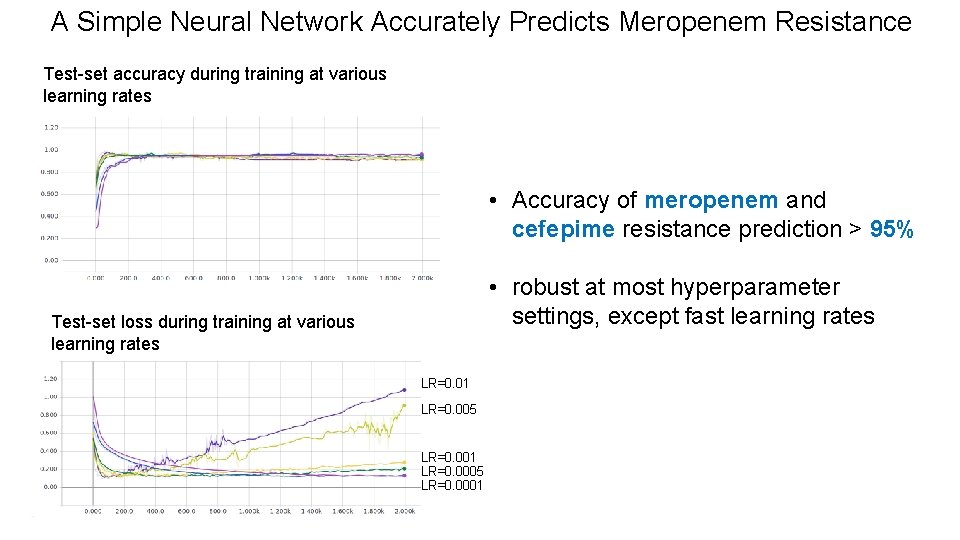 A Simple Neural Network Accurately Predicts Meropenem Resistance Test-set accuracy during training at various