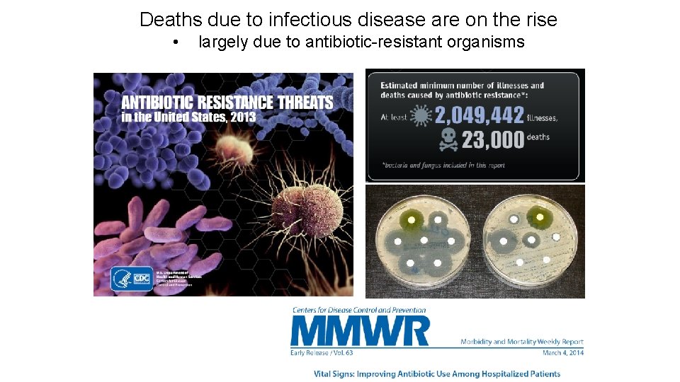 Deaths due to infectious disease are on the rise • largely due to antibiotic-resistant