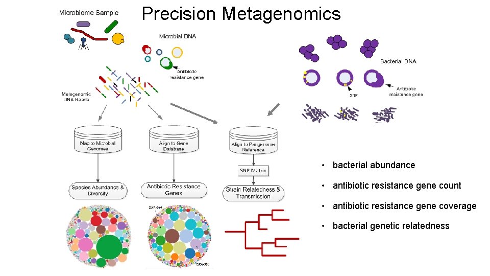 Precision Metagenomics • bacterial abundance • antibiotic resistance gene count • antibiotic resistance gene