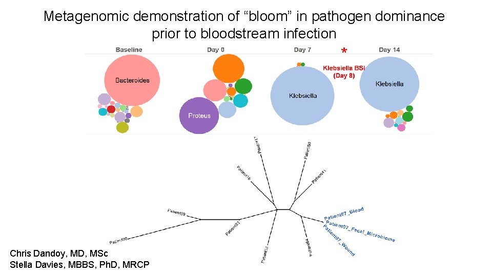 Metagenomic demonstration of “bloom” in pathogen dominance prior to bloodstream infection Chris Dandoy, MD,