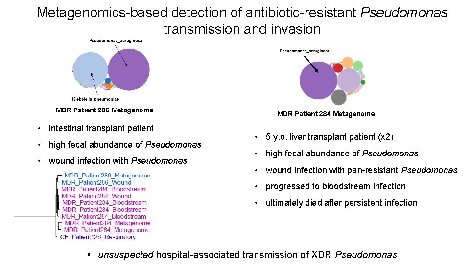 Metagenomics-based detection of antibiotic-resistant Pseudomonas transmission and invasion MDR Patient 286 Metagenome • intestinal