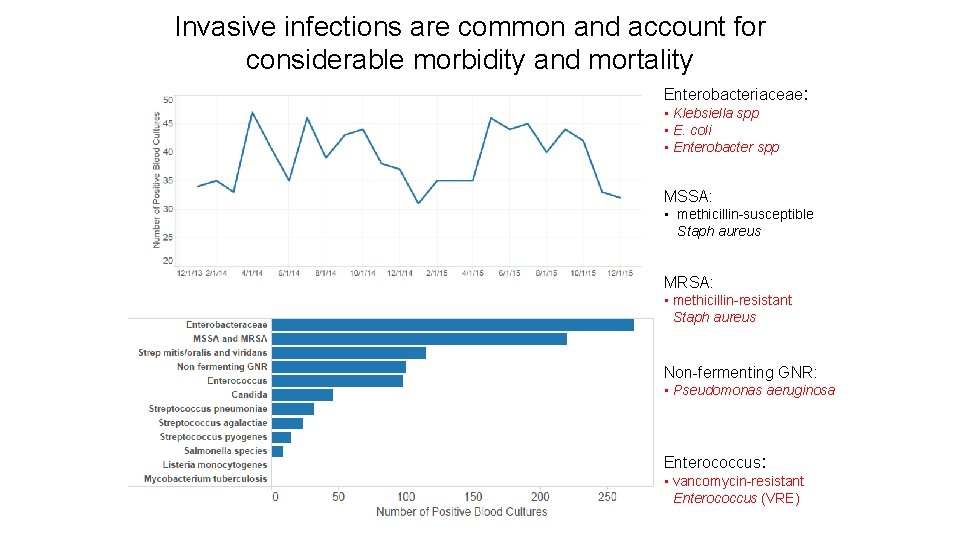 Invasive infections are common and account for considerable morbidity and mortality Enterobacteriaceae: • Klebsiella