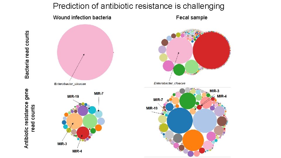 Prediction of antibiotic resistance is challenging Antibiotic resistance gene read counts Bacteria read counts