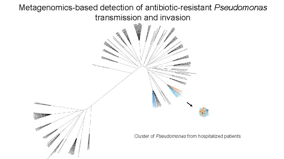 Metagenomics-based detection of antibiotic-resistant Pseudomonas transmission and invasion Cluster of Pseudomonas from hospitalized patients